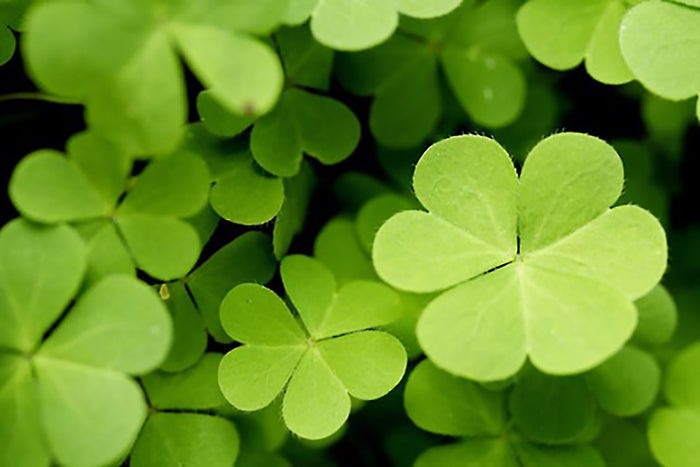Make the Luck You Need to Succeed in Business